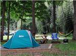 Blue and gray tent pitched alongside wooden picnic table and hanging hammock at PIGEON RIVER CAMPGROUND - thumbnail