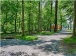 A row of camping areas under trees at PIGEON RIVER CAMPGROUND - thumbnail