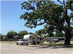 Fifth-wheel camped under tall tree at BOOMTOWN CASINO RV PARK - thumbnail