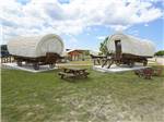 Some of the rental covered wagon cabins at THE VINEYARDS OF FREDERICKSBURG RV PARK - thumbnail