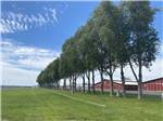 Row of trees next to the rustic buildings at GRANT COUNTY FAIRGROUNDS & RV PARK - thumbnail