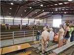 Audience watching a horse show at GRANT COUNTY FAIRGROUNDS & RV PARK - thumbnail