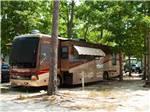 Brown and red motorhome in trees at THOUSAND TRAILS LAKE & SHORE - thumbnail