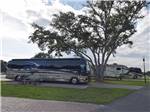 RVs parked at camping sites at SUNKISSED VILLAGE RV RESORT - thumbnail