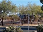 RV parked in paved site at CASINO DEL SOL RV PARK - thumbnail