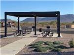 Picnic benches and barbecue pits under a pavilion at CASINO DEL SOL RV PARK - thumbnail