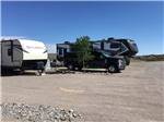 RVs in campsites with trees at DESERT VIEW RV PARK - thumbnail