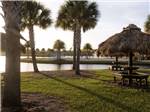 Benches with tiki huts next to the lake at RVs parked at dusk with water in distance at RESORT AT CANOPY OAKS - thumbnail