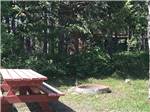 A red picnic bench and fire ring at RED EAGLE CAMPGROUND - thumbnail