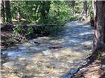 Stream churns over rocks at RED EAGLE CAMPGROUND - thumbnail