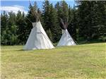 A pair of white teepees in a field at RED EAGLE CAMPGROUND - thumbnail