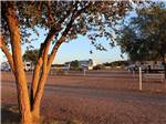 Travel trailers parked in gravel sites at BLAZE-IN-SADDLE RV PARK - thumbnail