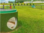 Some of the obstacles in the pet area at HAWKINS POINTE PARK, STORE & MORE - thumbnail