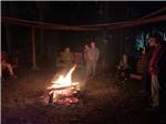 Group of people gathered around a fire pit at HAINES CREEK RV PARK - thumbnail