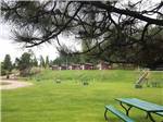 Camping cabins overlooking the grassy RV sites at FIREHOUSE CAMPGROUND - thumbnail