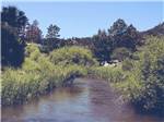 River flowing with trees surrounding at FIREHOUSE CAMPGROUND - thumbnail