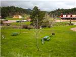 Large grassy area with green picnic tables at FIREHOUSE CAMPGROUND - thumbnail