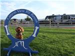 Dock at dog park with hoop at CANYON VIEW RV RESORT - thumbnail