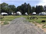 A gravel RV site with a picnic table at JAGGARS POINT OCEANFRONT CAMPGROUND RESORT - thumbnail