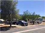 A row of back in RV sites at PALO VERDE ESTATES - thumbnail