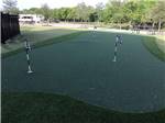 The putting green with little flags at THE RETREAT AT SHADY CREEK - thumbnail