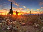 Sunset over the desert at ORCHARD RV PARK - thumbnail