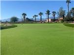 The golf course with palm trees at COACHELLA LAKES RV RESORT - thumbnail
