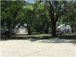 Two tent sites in shady area at OFF THE VINE RV PARK - thumbnail