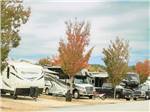 Trailers and a Class B parked in paved sites at TRYON INTERNATIONAL RV RESORT - thumbnail