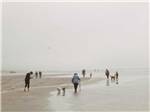 People walking on a foggy beach nearby at WALLICUT RIVER RV RESORT - thumbnail