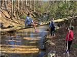 Kids playing on a fallen tree at BROAD RIVER CAMPGROUND - thumbnail