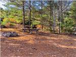 A picnic bench and fire pit at a tent site at HTR ACADIA - thumbnail