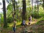A group of young people hike down a forest trail at PADDLE TRAIL CAMPGROUND ON THE GREEN RIVER - thumbnail