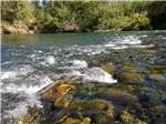 Close view of the river at RIVER REFLECTIONS RV PARK & CAMPGROUND - thumbnail