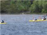 People kayaking on the river at RIVER REFLECTIONS RV PARK & CAMPGROUND - thumbnail