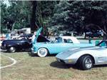A couple of Corvettes at a classic car show at RIVER REFLECTIONS RV PARK & CAMPGROUND - thumbnail