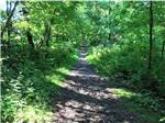 A hiking trail thru the woods at COUNTRYSIDE CAMPGROUND - thumbnail