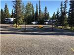 A group of gravel RV sites at NORTHERN NIGHTS CAMPGROUND - thumbnail