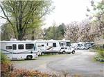 RVs parked at campground at J & J RV PARK - thumbnail