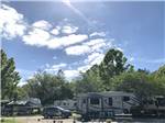 Group of RVs parked in sites at LAKE CITY RV RESORT - thumbnail