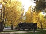 A motorhome parked under autumn colored trees at UNCOMPAHGRE RIVER ADULT RV PARK - thumbnail