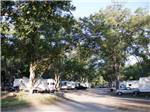 RV campsites line a dirt road under trees at PARK RIDGE RV CAMPGROUND - thumbnail