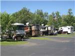 A row of motorhomes parked in sites at AA ROYAL MOTEL & CAMPGROUND - thumbnail