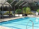 The screened in swimming pool area at CRYSTAL LAKE RV RESORT - thumbnail