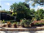 A flower planter with a palm tree at CRYSTAL LAKE RV RESORT - thumbnail