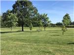 Large grass area with picnic tables at SINGING HILLS RV PARK - thumbnail