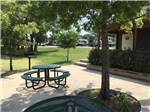 A sitting area under a tree at THE CREEKS GOLF & RV RESORT - thumbnail