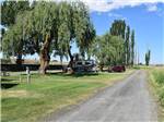 Road leading to RV under shade tree at COUNTRY LANE CAMPGROUND & RV PARK - thumbnail