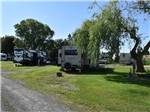 RVs parked onsite near trees at COUNTRY LANE CAMPGROUND & RV PARK - thumbnail