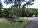 A back in RV site with a large tree at THE LANDING POINT RV PARK - thumbnail